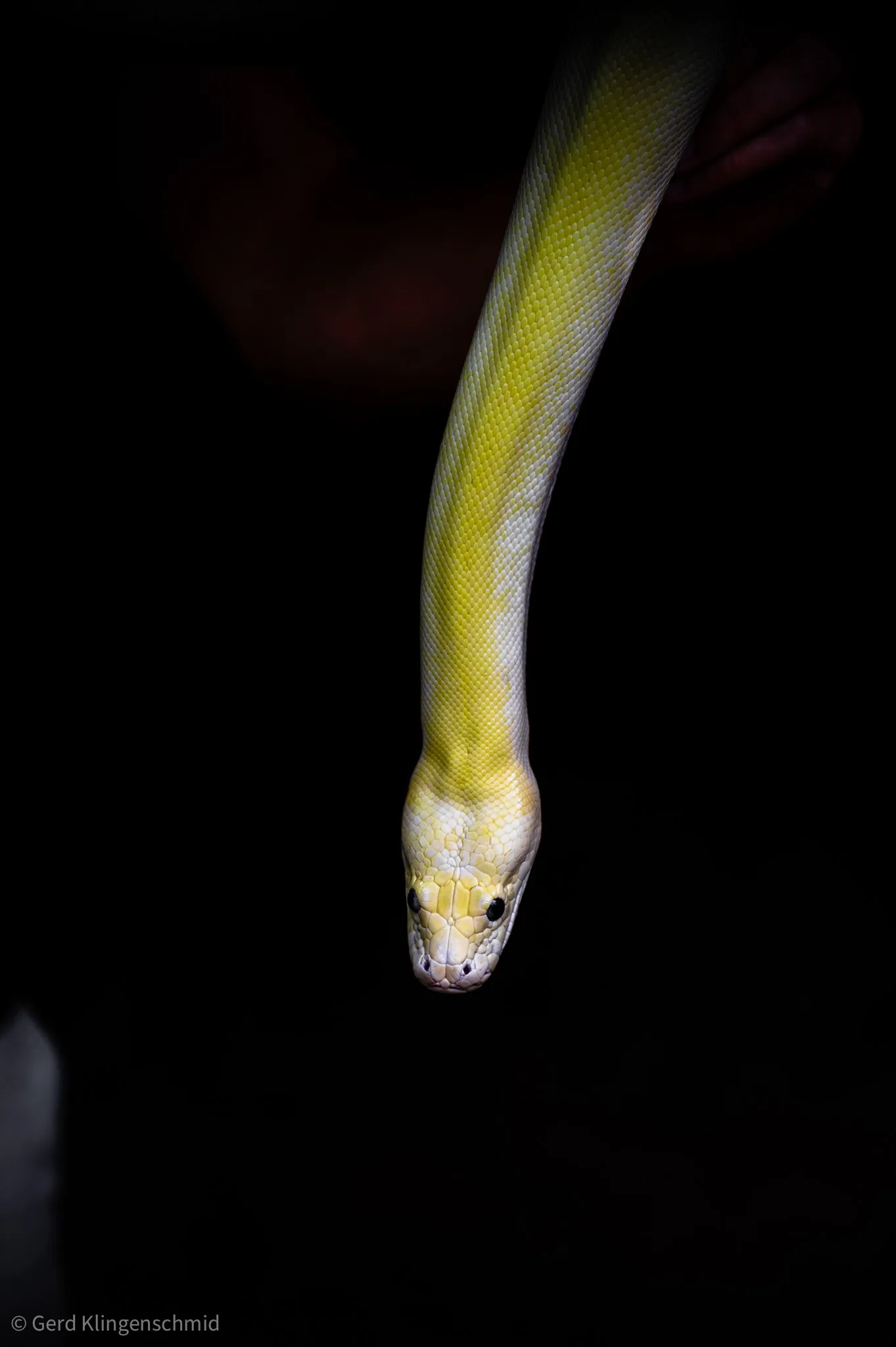 Photography - BestOf_Selection-48