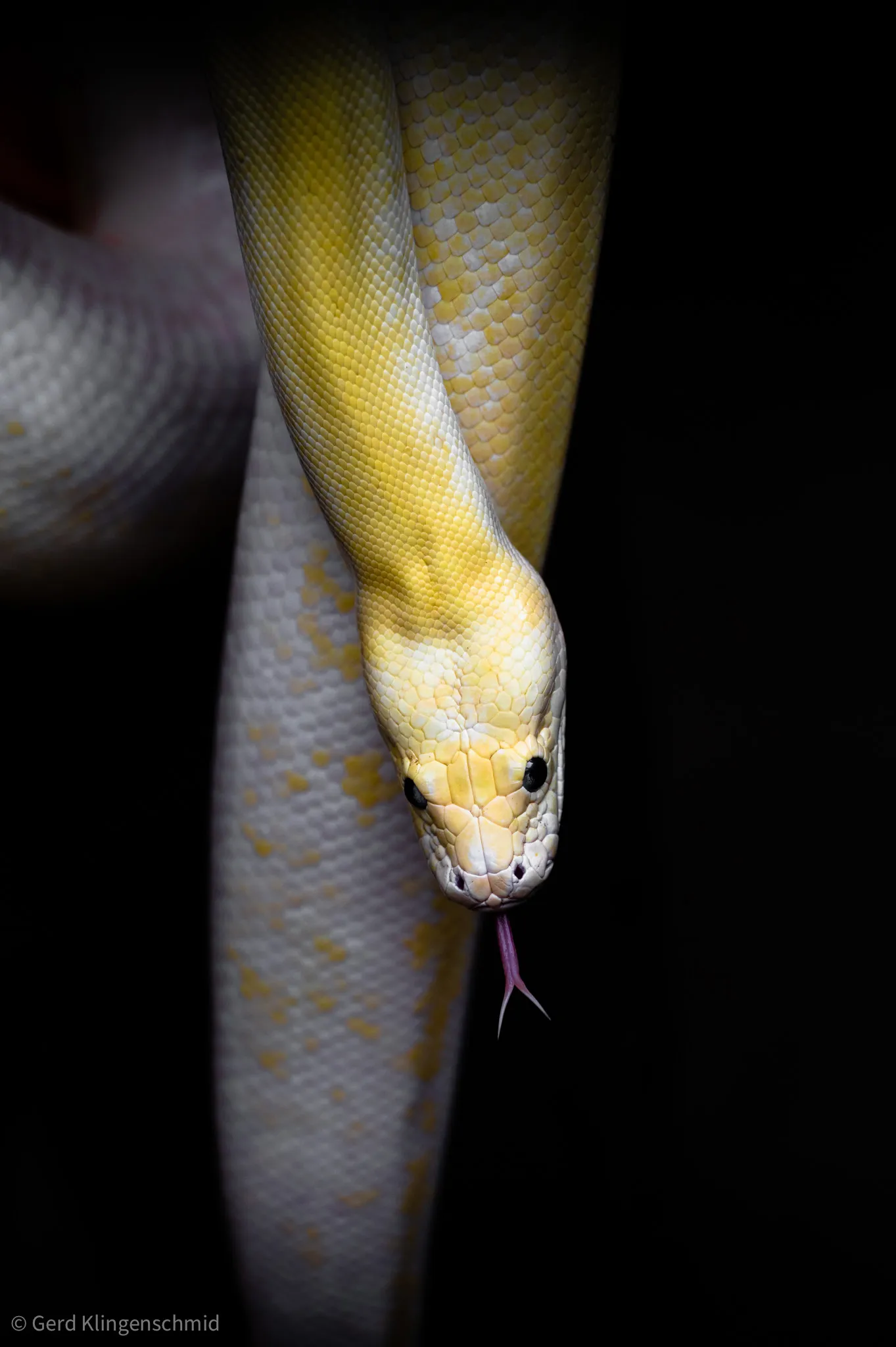 Photography - BestOf_Selection-49